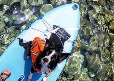 Club Bitxos Veterinaris - Club Bitxos Lovers en canoa