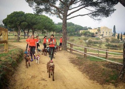 Club Bitxos Veterinaris - Club Bitxos Lovers. Canicross