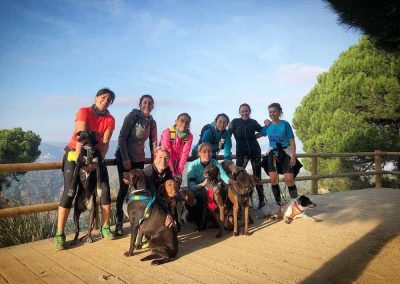 Club Bitxos Veterinaris - Club Bitxos Lovers. Actividades del club, canicross