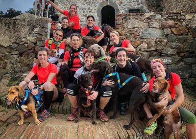 Club Bitxos Veterinaris - Club Bitxos Lovers. Grupo club