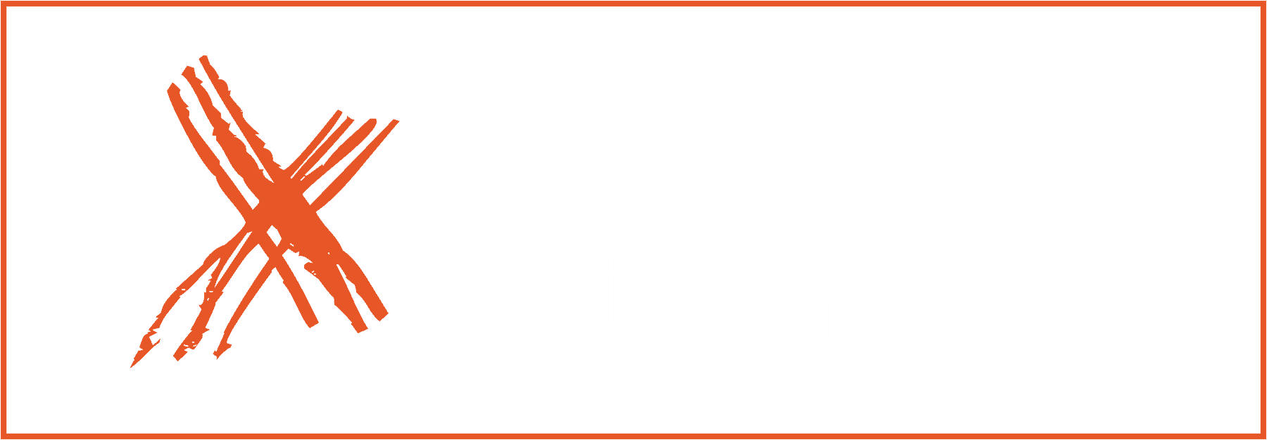 Homepage Logo Slider Bitxos