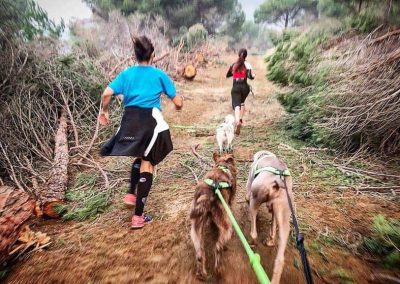 Club Bitxos Veterinaris - Club Bitxos Lovers. Canicross, ruta