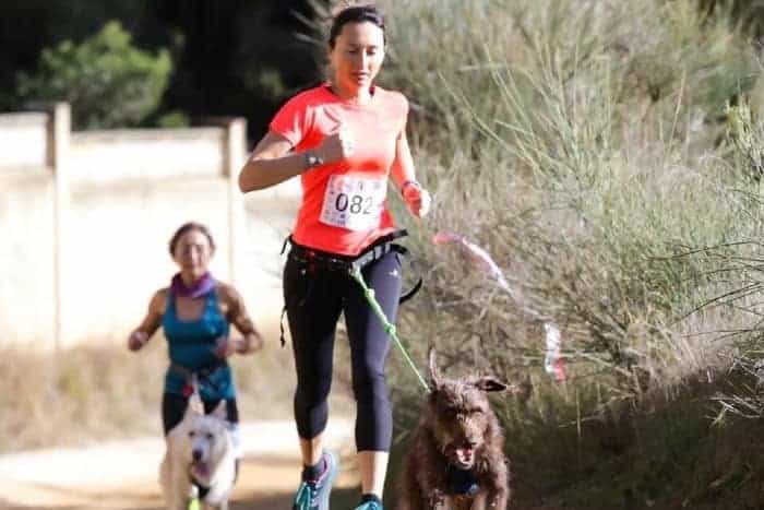 Canicross y actividades