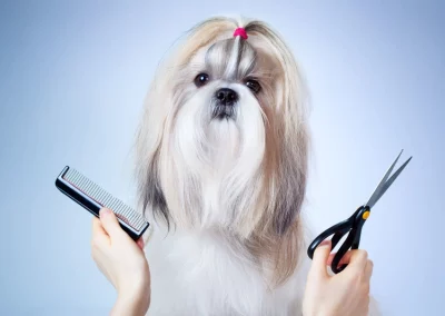 Peluquería estética Canina y Felina 4 Nuestra Peluquería Canina y Felina de Bitxos Veterinaris